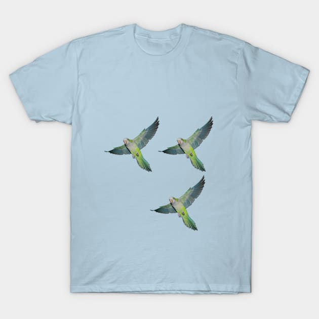 Flying parakeets T-Shirt by Bwiselizzy